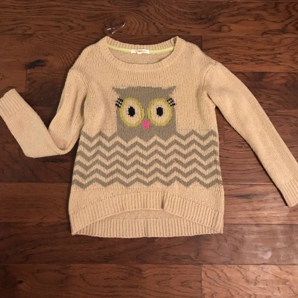 Owl Sweater